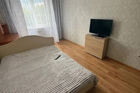 Двухкомнатная квартира в аренду посуточно в Пензе по адресу Фабричная ул., 3