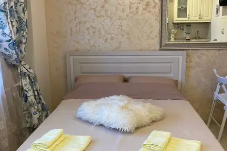 1-комнатная квартира в Мурино, пр-кт Авиаторов Балтики, 5, м. Девяткино