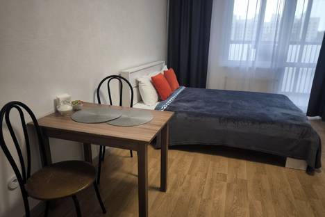 1-комнатная квартира в Санкт-Петербурге, ул. Адмирала Черокова, 20Б