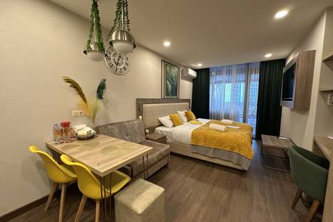 Однокомнатная квартира в аренду посуточно в Батуми по адресу ул. Адлиа, 6