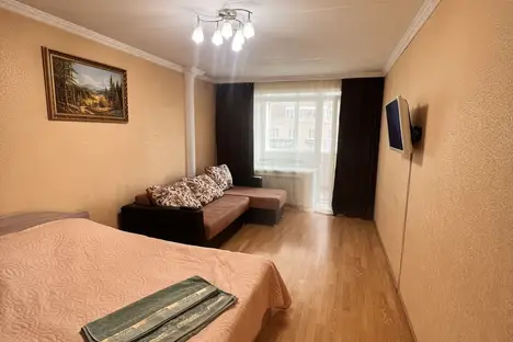 1-комнатная квартира в Томске, Учебная ул., 8