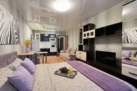 1-комнатная квартира в Санкт-Петербурге, Репищева ул., 10к1
