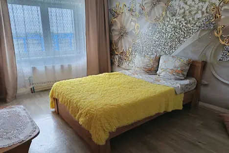 1-комнатная квартира в Иркутске, Иркутск, ул. Бородина, 7