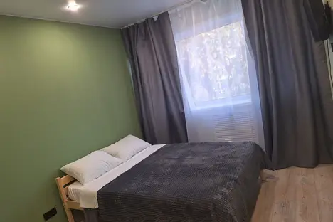 2-комнатная квартира в Екатеринбурге, ул. Челюскинцев, 19, м. Уральская