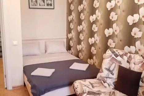 1-комнатная квартира в Новосибирске, ул. Дуси Ковальчук, 238, м. Гагаринская