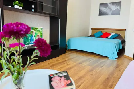 1-комнатная квартира в Ульяновске, Ульяновск, б-р Ильюшина, 1