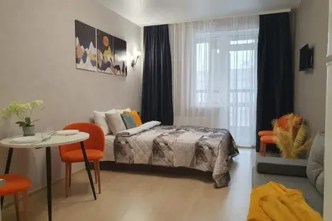 1-комнатная квартира в Санкт-Петербурге, пр-кт Авиаконструкторов, 63