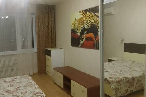 2-комнатная квартира в Воронеже, ул. Любы Шевцовой, 29