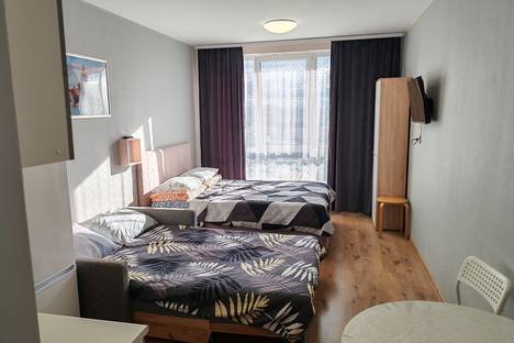 1-комнатная квартира в Парголове, Толубеевский пр-д, 8к2, м. Парнас