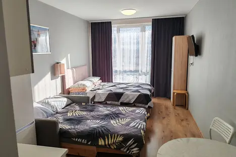 1-комнатная квартира в Парголове, Толубеевский пр-д, 8к2, м. Парнас