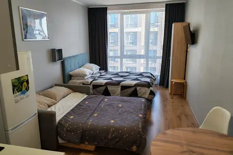 1-комнатная квартира в Парголове, Толубеевский пр-д, 8к2, м. Парнас
