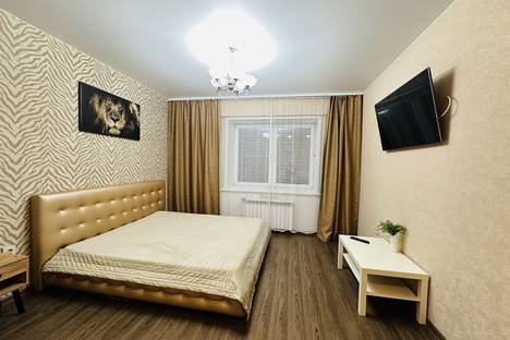 1-комнатная квартира в Иркутске, Иркутск, улица Красноказачья, 74