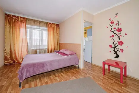 1-комнатная квартира в Екатеринбурге, улица Луначарского, 53, м. Динамо
