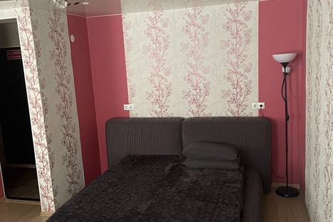 Однокомнатная квартира в аренду посуточно в Нижнем Тагиле по адресу улица Пархоменко, 27