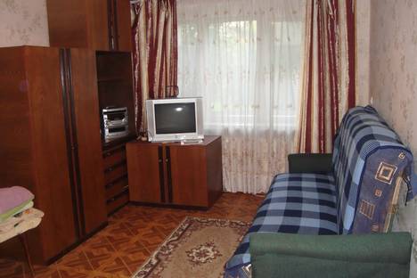 Однокомнатная квартира в аренду посуточно в Нижнем Новгороде по адресу ул. Лескова, 10, метро Парк культуры