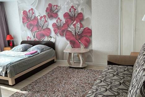 Однокомнатная квартира в аренду посуточно в Норильске по адресу ул. Мира, 4