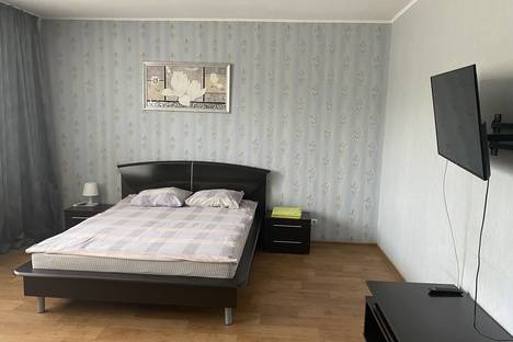 Трёхкомнатная квартира в аренду посуточно в Ульяновске по адресу Рябикова 75