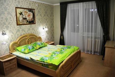 Однокомнатная квартира в аренду посуточно в Нижнекамске по адресу проспект Мира, 72
