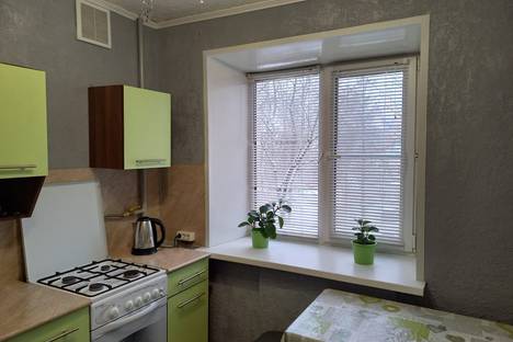 Однокомнатная квартира в аренду посуточно в Королёве по адресу улица Гагарина, 44а