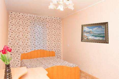Двухкомнатная квартира в аренду посуточно в Челябинске по адресу Энгельса, 73