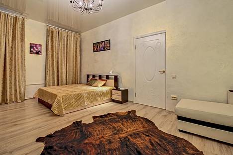 Двухкомнатная квартира в аренду посуточно в Санкт-Петербурге по адресу ул. Маяковского д. 11, метро Маяковская