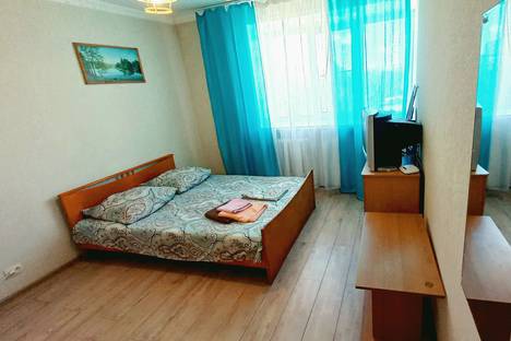 Однокомнатная квартира в аренду посуточно в Екатеринбурге по адресу улица Академика Бардина 6/2
