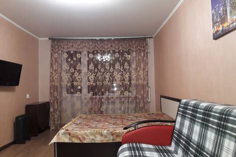 Однокомнатная квартира в аренду посуточно в Казани по адресу Ибрагимова 83, метро Козья Слобода