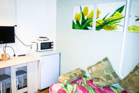 Однокомнатная квартира в аренду посуточно в Тюмени по адресу ул. Мельникайте, 129