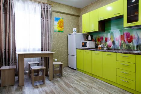 Однокомнатная квартира в аренду посуточно в Иркутске по адресу пер. Строительный 8