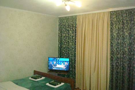 Однокомнатная квартира в аренду посуточно в Казани по адресу улица Химиков, 45