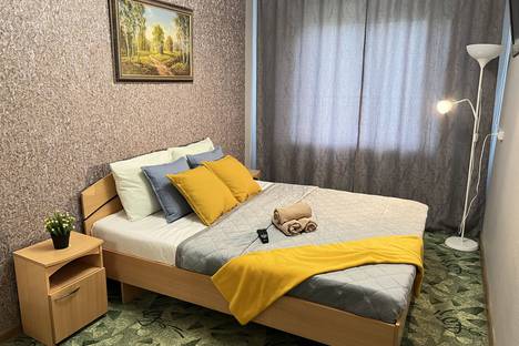 Двухкомнатная квартира в аренду посуточно в Новосибирске по адресу Красный проспект, 94/1, метро Гагаринская