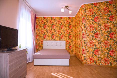 Однокомнатная квартира в аренду посуточно в Екатеринбурге по адресу Союзная улица, 2, метро Чкаловская