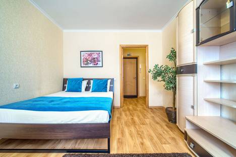 Однокомнатная квартира в аренду посуточно в Нижнем Новгороде по адресу Белозерская улица, 3