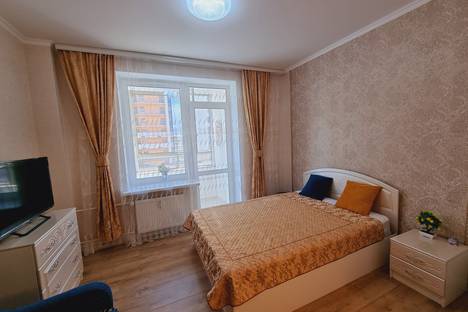 1-комнатная квартира в Санкт-Петербурге, Ипподромный переулок, 1к2