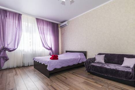 Однокомнатная квартира в аренду посуточно в Краснодаре по адресу Гаражная улица, 71