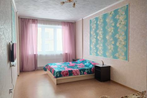 1-комнатная квартира в Воронеже, улица Краснознаменная, 57