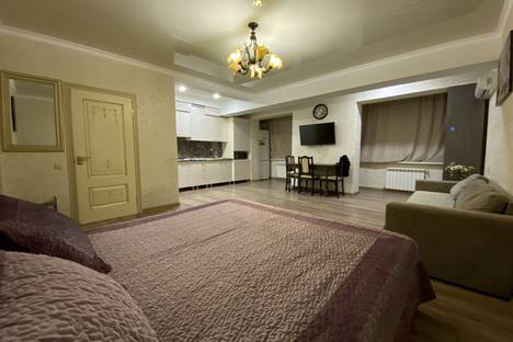1-комнатная квартира в Нальчике, Ватутина 29