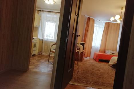 Однокомнатная квартира в аренду посуточно в Сосновом Боре по адресу Ломоносовский район