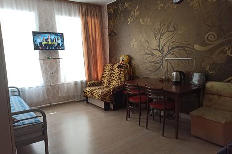 Двухкомнатная квартира в аренду посуточно в Санкт-Петербурге по адресу 15-я линия В.О, 22, метро Василеостровская