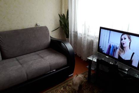 Двухкомнатная квартира в аренду посуточно в Пензе по адресу улица Кижеватова,9