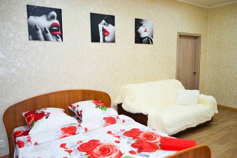 Однокомнатная квартира в аренду посуточно в Челябинске по адресу улица Сталеваров, 39
