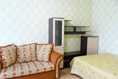 Однокомнатная квартира в аренду посуточно в Томске по адресу улица Елизаровых, 39