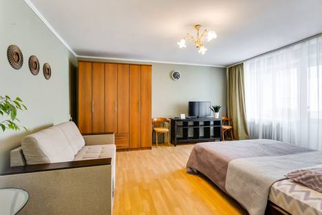 Однокомнатная квартира в аренду посуточно в Ростове-на-Дону по адресу Пушкинская улица, 123