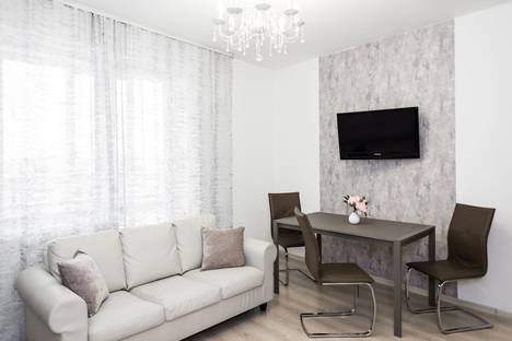 Двухкомнатная квартира в аренду посуточно в Екатеринбурге по адресу улица Репина, 52