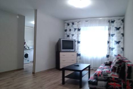 Двухкомнатная квартира в аренду посуточно в Челябинске по адресу улица Володарского, 28