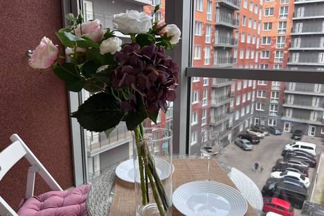 Однокомнатная квартира в аренду посуточно в Калининграде по адресу улица Юрия Гагарина, 11