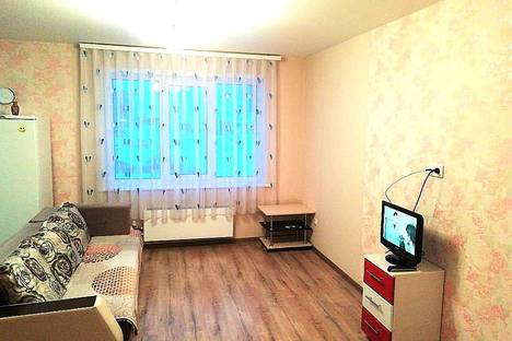 Однокомнатная квартира в аренду посуточно в Барнауле по адресу ул.Балтийская 103 КВ 187
