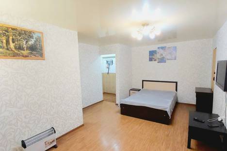 Однокомнатная квартира в аренду посуточно в Уфе по адресу улица Александра Невского, 30