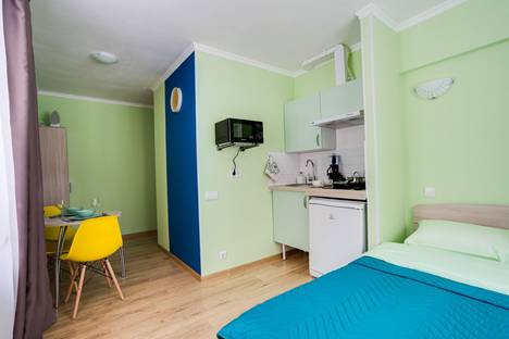 Однокомнатная квартира в аренду посуточно в Москве по адресу Поклонная улица, 2к2, метро Кутузовская