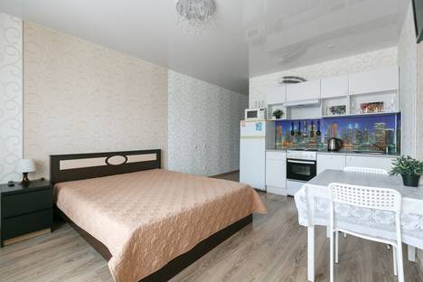 1-комнатная квартира в Новосибирске, улица Виктора Уса, 2